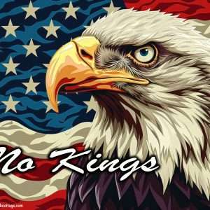 American flag and eagle
