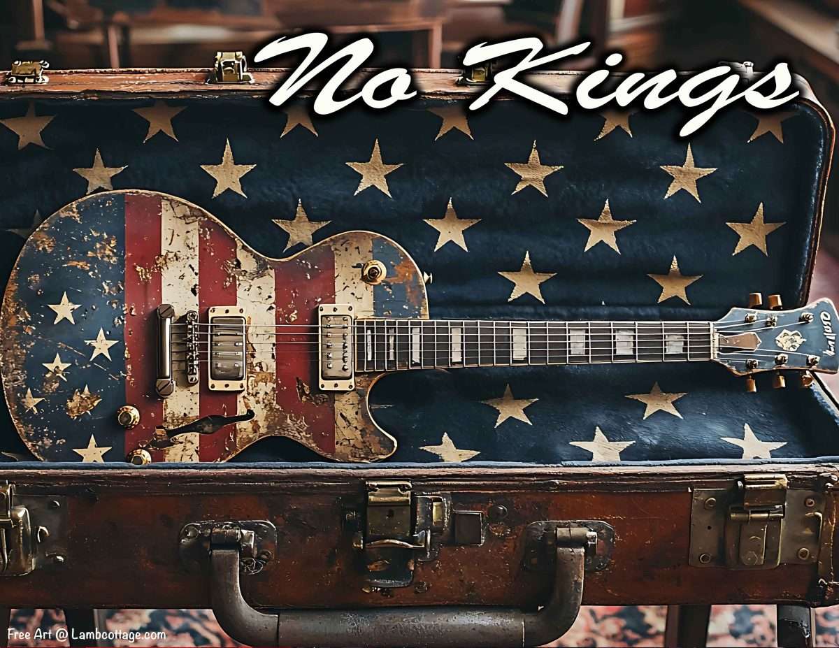 Guitar Case